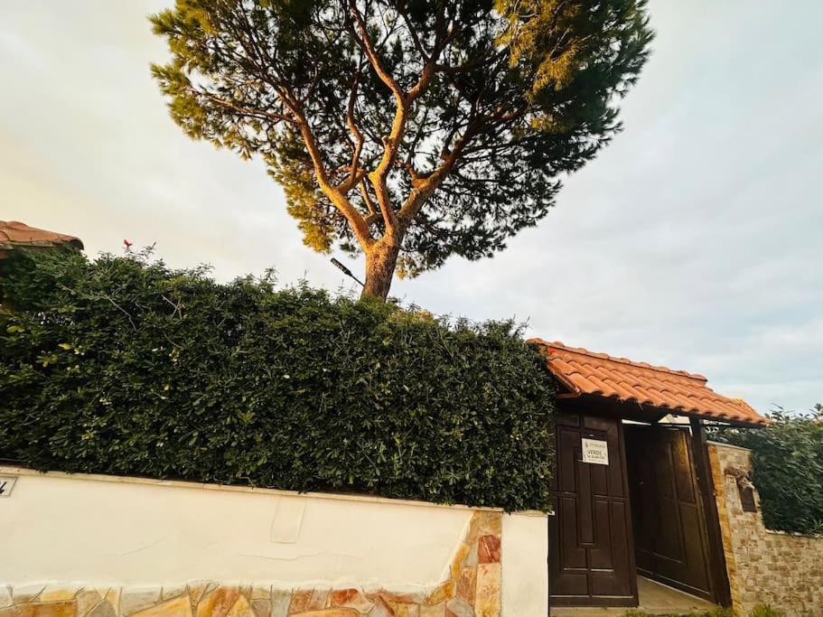 Fontana House Villa Marina di Cerveteri ภายนอก รูปภาพ